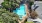 overhead shot of pool surrounded by trees
