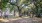a park with benches and trees