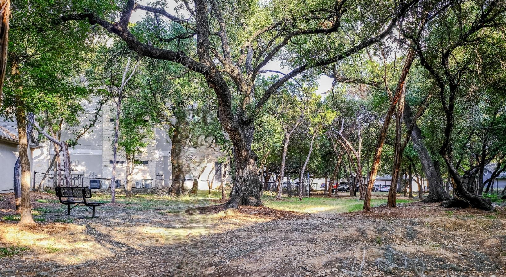 Close to the center of everything a park with benches and trees