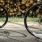 people walking their bicycles down the road